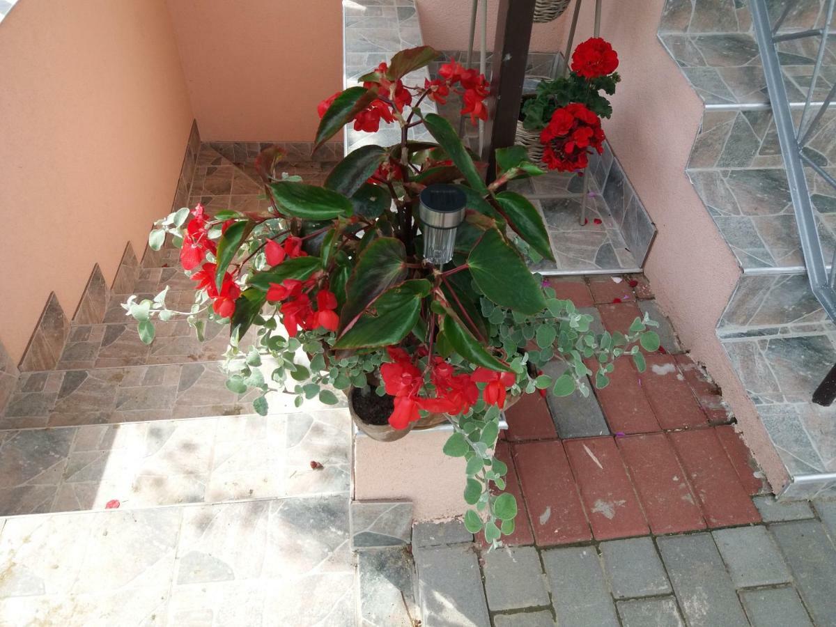Hotel Beata Vendeghaz Tokaj Exterior foto